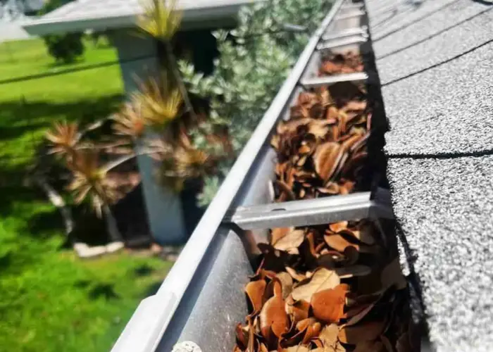 Gutter Cleaning Luther home page